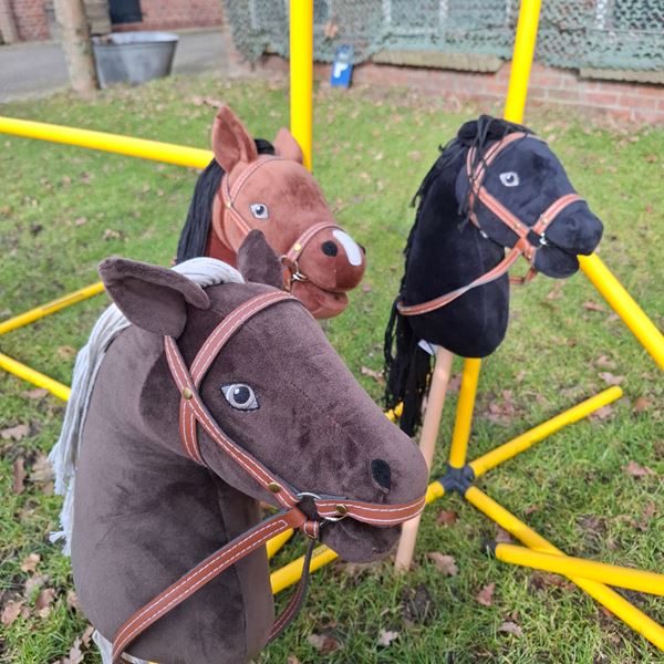 hobby horsing mieten